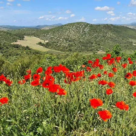 Lakeview Sunset Terrace Daire