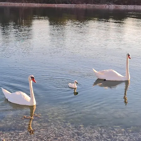 Appartement Lakeview Sunset Terrace Bilice