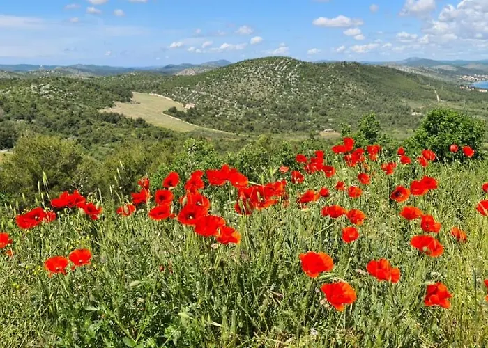 Lakeview Sunset Terrace Appartement