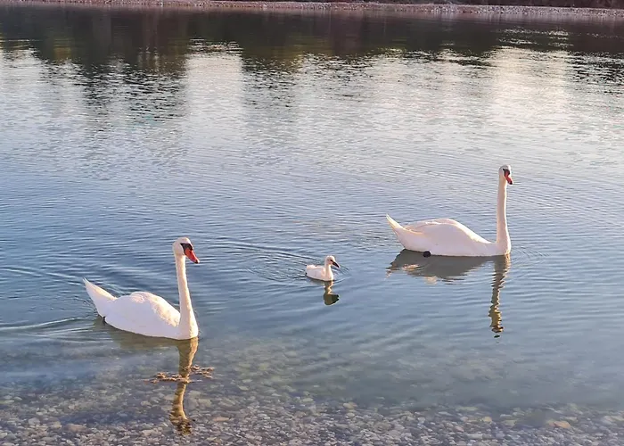 Appartement Lakeview Sunset Terrace Bilice